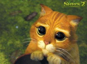 gato-con-cara-de-pena2